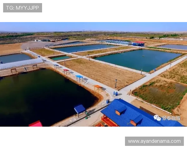 优德亚洲体育推动体育与旅游融合发展，促进亚洲地区经济多元化增长