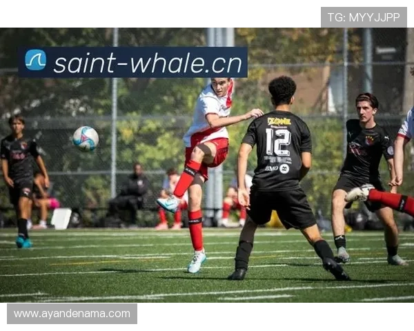 乐鱼体育网娱乐赛事报道深入，带来最新体育新闻和精彩赛事回顾