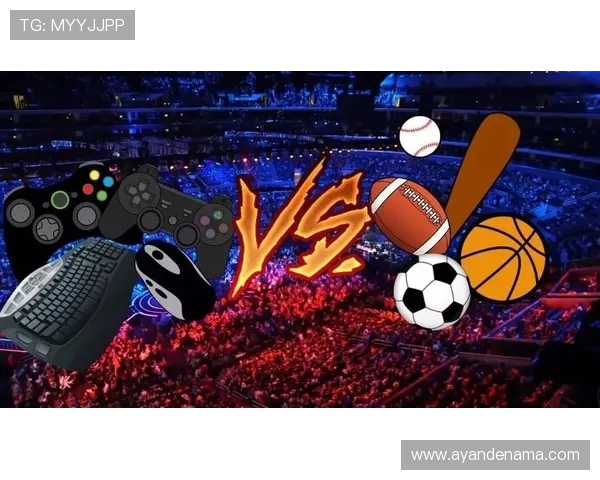 333体育电竞用户评价与反馈汇总，了解平台的真实服务质量与用户满意度